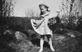 En flicka från Krokslätts daghem har plockat vitsippor, troligtvis på Safjället, 1948 - 1951.