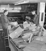 I grovsorteringen sorteras paketen på distrikt. Ett tungt jobb;
under ett skift lyfter en sorterare cirka sex ton.