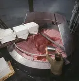 Man i arbete vid holländeri på pappersbruket Papyrus i Mölndal, år 1970.