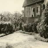 Casper Winsnes (1873 -  1950) står i Sjöhyddans trädgård, Strandpromenaden vid Stensjön, Roten C31, okänt årtal. Sjöhyddan byggdes 1909, revs 2013 och blev sedan lekplats för barn.
