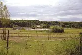Balltorp, översikt/miljö. Växthus och betesmark.