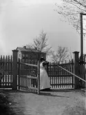 Elin Liljefors, kvarteret Edda, Svartbäcksgatan 37, Uppsala 1900 - 1901
