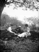 Ellen Torssell, Arthur Rydin och Elin Liljefors, Berthåga, Uppsala 1901