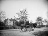 Häst och vagn på Svartbäcksgatan, Svartbäcken, Uppsala 1901