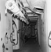 Fylgia upphängt efter skjutning