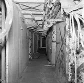 Fylgia upphängt efter skjutning