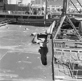 Dristigheten skjutskador