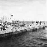 Dristigheten bärgning