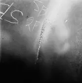 Jag. Hälsningborg propellerskada