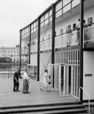 H55 Helsingborgsutställningen 1955
