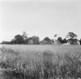 Farhult, Skåne
Exteriör

Svensk arkitektur: kyrkor, herrgårdar med mera fotograferade av Arkitekturminnesföreningen 1908-23.