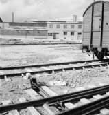 Bröderna Hedlund.
Byggnader med järnvägsspår i förgrunden.
Exteriör.