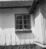 Skytteholm
Torp
Exteriör