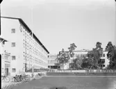 Skola
Exteriör