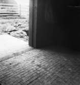 Ladugård
Interiör