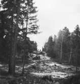 Helenelund
Landskap