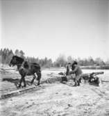 Alby gård
Tre män drar timmer efter häst
Exteriör