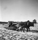 Öster Ledinge sågverk
Timmerkörning efter hästar