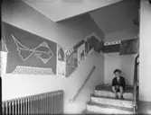 Väggmålning med tax, fisk och ballonger i trappuppgång, Hägersten
Barn
Interiör