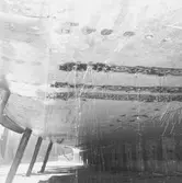 Prins Carl bottenskador