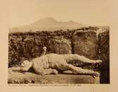 Från utgrävningarna i Pompeji