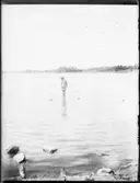 Sjön är så stor, så stor, Gunnar är så liten. Gunnar badar i Hästefjorden.