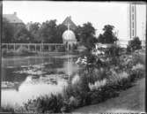 Utställningen 1923: Strandparti vid Näckrosdammen.