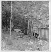 Dalskog, lvattenkvarn.