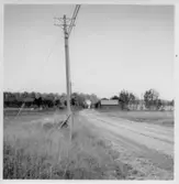 Dalskog, Upprensning och flyttning av skålgropssten.