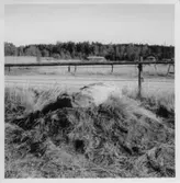 Dalskog, Upprensning och flyttning av skålgropssten.