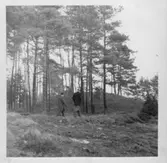 Erikstad, Bergs kullar