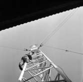 TV-masten på Herrestadsfjället utanför Uddevalla  6 november 1959