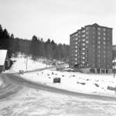 Nybbyggen på Tureborg 1960