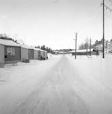 Nybyggen på Dalaberg 1960