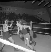 En torsdag i boxningens tecken
