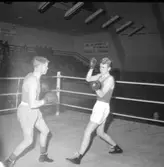 En torsdag i boxningens tecken