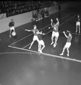 Handbollsmatch
