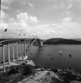 Tjörnbron