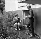 Bilder från ett pistoldrama