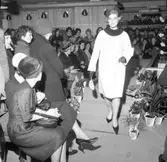 Mannekänguppvisning