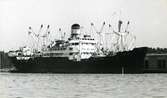 Ägare:/1972-73/: Aethon Shipping Co. Ltd. Hemort: Famagusta.