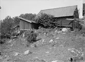 Svinstia och fähus - nu på friluftsmuseet Disagården - på ursprunglig plats, Lilla Bultebo, Tierps socken, Uppland 1930