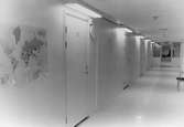 En korridor inomhus, som visar dörrar in till olika rum. Dokumentation av Sagåsens flyktingförläggning, 1992.