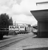 Papyrus fabriksområde.