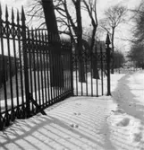 Villa Papyrus, staket.