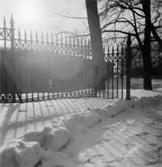 Villa Papyrus, staket.