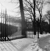 Villa Papyrus, staket.