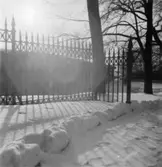 Villa Papyrus, staket.