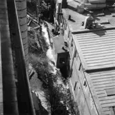 Mölndalsån, nedströms fallet.