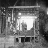 Halmeldning.
Två okända män.